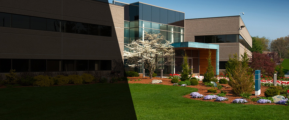 Saint Rose Landscapers