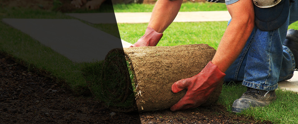Saint Rose Landscapers